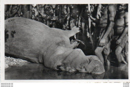 1V12 35F  Niger Chasse à L'hippopotame - Niger