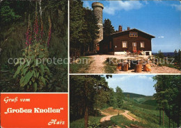 72421306 Herzberg Harz Wanderhuette Grosser Knollen Aussichtsturm Landschaft Blu - Herzberg