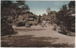 77 - B31177CPA - LA CHAPELLE LA REINE - La Mer De Sable - Parfait état - SEINE-ET-MARNE - La Chapelle La Reine