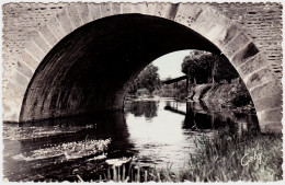 14 - B24343CPSM - PONT D' OUILLY - L' Orme Sous L' Une Des Arches Du Pont - Très Bon état - CALVADOS - Pont D'Ouilly
