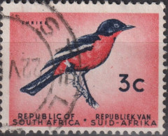 1961 Südafrika ° Mi:ZA 292, Sn:ZA 259, Yt:ZA 253, Crimson-breasted Shrike (Laniarius Atrococcineus), Vögel - Usados