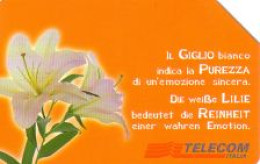 Telefonkarte Italien, Weiße Lilie, 5000 - Zonder Classificatie