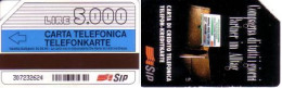 Telefonkarte Italien, Geldbörse (Validità 30.06.95), 5000 - Unclassified