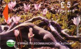 Telefonkarte Zypern, Pflanzen Akamas Forest (2), 5 - Unclassified