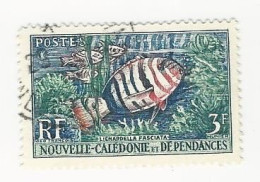 Nouvelle Calédonie - 1959 Coraux Et Poissons - N° 292 Oblitéré - Used Stamps