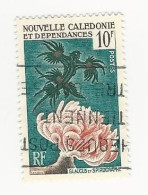 Nouvelle Calédonie - 1959 Coraux Et Poissons - N° 293 Oblitéré - Oblitérés