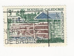 Nouvelle Calédonie - 1969 Elevage Calédonien - N° 356 Oblitéré - Gebraucht