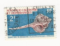 Nouvelle Calédonie - 1969 Coquillages - N° 358 Oblitéré - Used Stamps