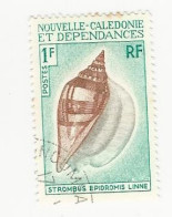 Nouvelle Calédonie - 1970-71 Coquillages - N° 368 Oblitéré - Oblitérés