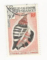 Nouvelle Calédonie - 1970-71 Coquillages - N° 369 Oblitéré - Usati