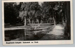 0-5603 DINGELSTÄDT/ Eichsfeld, Kahnteich Im Ried, 1956 - Heiligenstadt