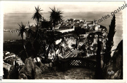 CPA - Le Rocher De Monaco Vu Des Jardins Exotiques - Exotic Garden