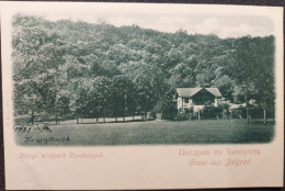 1899 Belgrade - Kosutnjak Famous Picnic Wood And Parc Near The City I- VF 173 - Serbie