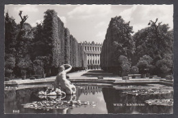 107922/ WIEN, Schönbrunn - Schönbrunn Palace