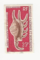 Nouvelle Calédonie - 1972 Coquillages - N° PA129 Oblitéré - Usati