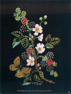 Postcard Flower Wild Bramble And Scottish Argus Butterfly - Plantes Médicinales