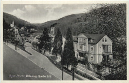 Schlangenbad Im Taunus - Vegetarische Pension Villa Jung - Schlangenbad