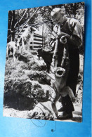 Waarbeke Pastoor André De Wolf (1915-1998) Prive Dierentuin Het Rijk Van Lobo  2 X Cpsm - Geraardsbergen