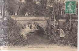 Donnemarie  En Montois Vue Sur L'Auxence Pecheurs Carte Postale Animee 1911 - Donnemarie Dontilly