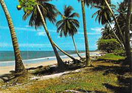 Afrique- GABON Plage Près De LIBREVILLE    Photo TROLEZ A 50 * PRIX FIXE - Gabón