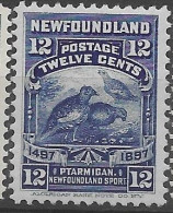 New Foundland Mlh * 50 Euros 1897 Birds - 1908-1947