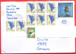 Czech Rep. Letter To Germany (Crivitz) Schmetterlinge/Baum, Feinst - Storia Postale