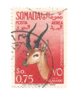 (COLONIE E POSSEDIMENTI) 1955, POSTA AEREA, ANIMALI - 2 Francobolli Usati (CAT. SASSONE N.29-30) - Somalië (AFIS)