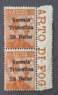 Italie Trentin 1918 N°30 En Paire BdF **TB - Trento