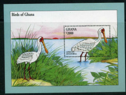 Ghana Block 251 Postfrisch Vögel #JC560 - Ghana (1957-...)