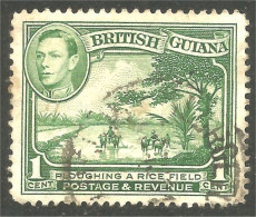 XW01-0857 British Guiana 1938 1c Rizière Rice Field - British Guiana (...-1966)