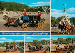73957958 Dillenburg Hess Landgestuet Dillenburg Hengstparade Details - Dillenburg