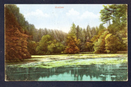 Allemagne. Waldsee. Panorama. Feldpost Camouflé  3. Husaren Regiment - 5. Eskadron. Juin 1917 - Schifferstadt