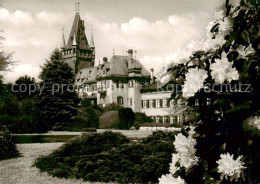 73810211 Weinheim Bergstrasse Bluetenzauber Im Schlosspark Weinheim Bergstrasse - Weinheim