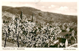 73809913 Heppenheim Bergstrasse Panorama Mandelbluete Heppenheim Bergstrasse - Heppenheim