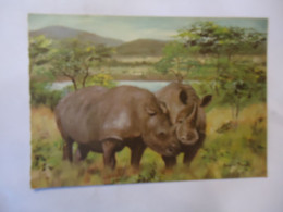 UNITED STATES  ZOO LAKE KYLE  POSTCARDS ZOO  ANIMALS  RHINOCEROS RHINO - Rhinocéros