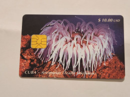 CUBA-(CU-ETE-0020)-Anemonas-(Tealia Lofotensis)-(16)-($10)-(0001437367)-used Card+1card Prepiad Free - Kuba