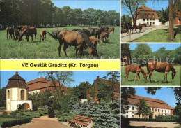 72519156 Graditz VE Gestuet Graditz - Torgau