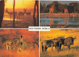 CPSM Southern Africa-Beau Timbre     L2642 - Afrique Du Sud