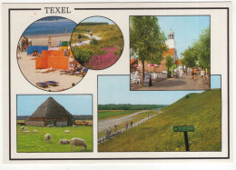 Texel - (Wadden, Nederland/Holland) - Nr. TEL 29 - Texel