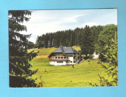 SCHONWALD - PENSION KALTENBACH    (D 205) - Lemgo