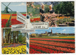 Keukenhof Lisse / Hillegom - Wegwijzer Kon. Ned. Toeristenbond - Bloembollen - (Holland) - Zwiebelblumen/Bulbs/Bulbes - Lisse