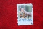 Eekhoorn Squirrel Eichhörnchen NVPH 3013 (Mi 3062)  2013 POSTFRIS MNH ** NEDERLAND / NIEDERLANDE / NETHERLANDS - Nuevos