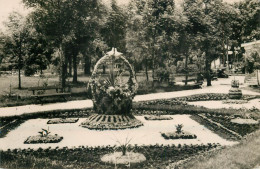 Hungary Matrafured Park View - Ungarn