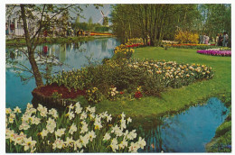 CPSM  / CPM 10.5 X 15 Pays Bas (46) Keukenhof  Lisse-Holland   Parc Floral De Keukenhof à LISSE  Moulin à Vent - Lisse