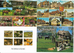 NORMANDIE - Lot De 4 Cartes - Otros