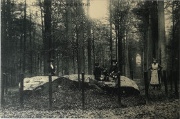 Tervuren - Tervueren // Les Pierres Druidique Dans Le Parc (animee)?? Ed. Decock - Tervuren