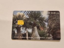 CUBA-(CU-ETE-0110)-Palma Barrigona-(23)-($10)-(0004023936)-used Card+1card Prepiad Free - Kuba