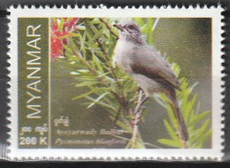 Myanmar 2022, Postfris MNH, Birds - Myanmar (Birmanie 1948-...)