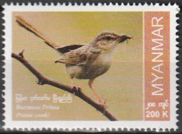 Myanmar 2022, Postfris MNH, Birds - Myanmar (Burma 1948-...)
