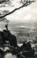 Hungary Matra Panoramic View - Ungarn